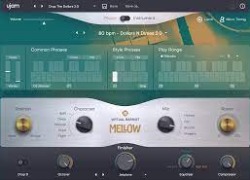 Ujam Virtual      Bassist Mellow 2